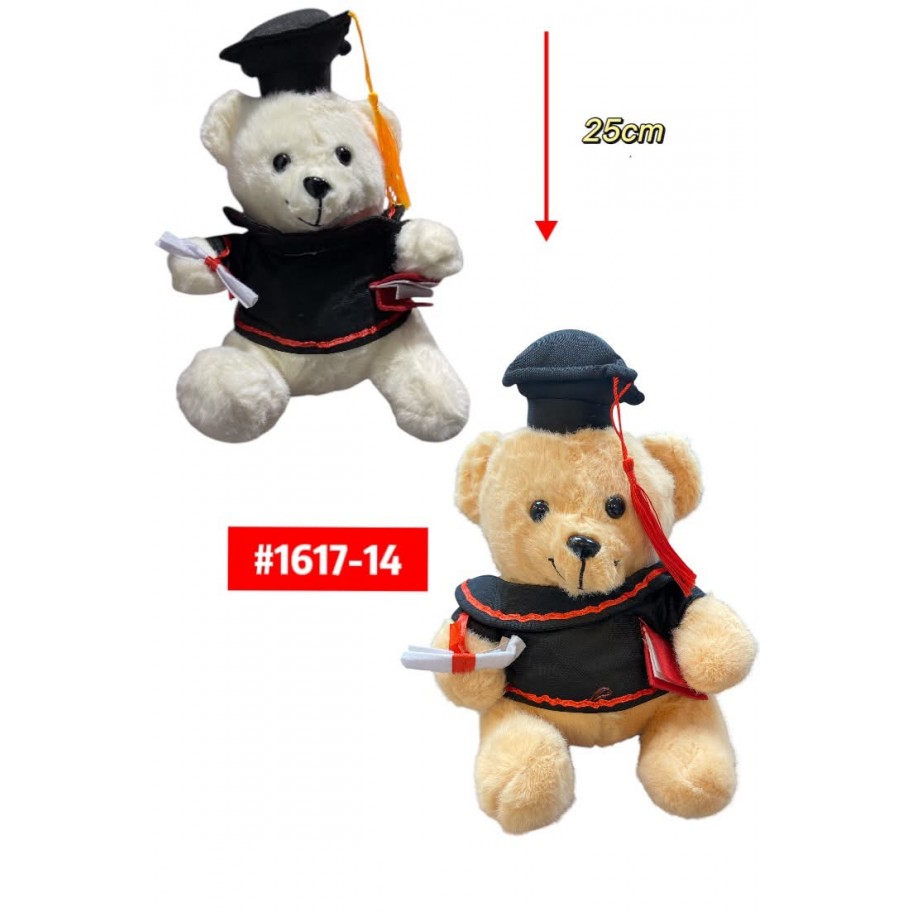 PELUCHE OSO GRADUACION 25cm #1617-14
